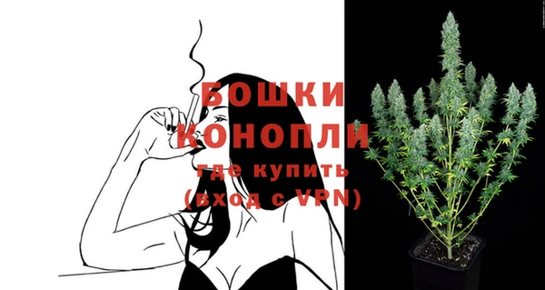 гашик Магас