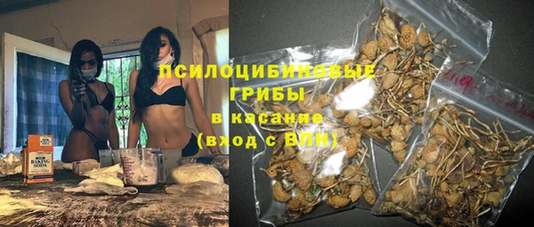 apvp Мегион