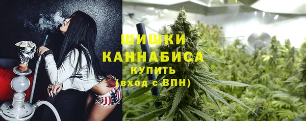 гашик Магас